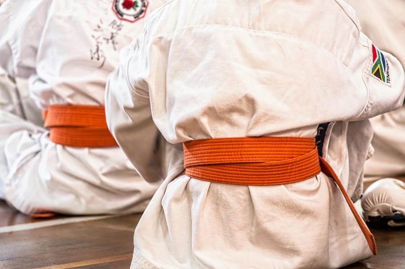 Chen Style Tai Chi Image